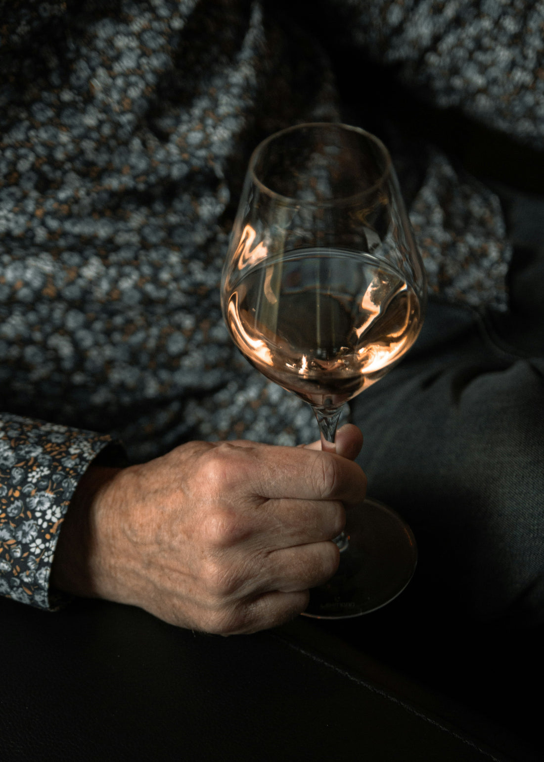 senior drinking wine , elderly and wine 